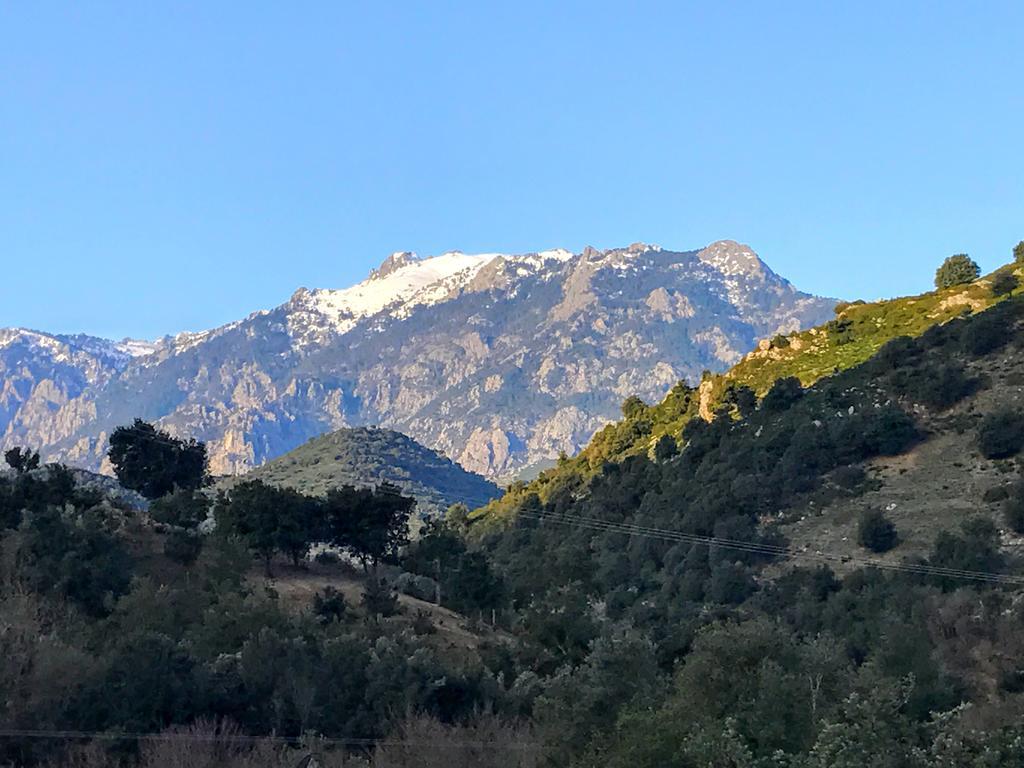 Affittacamere U Fragnu Omessa Esterno foto