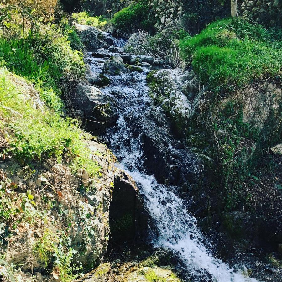 Affittacamere U Fragnu Omessa Esterno foto
